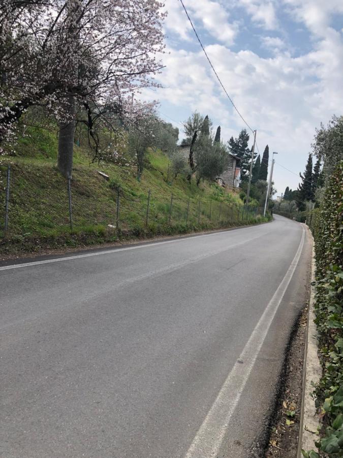 Casa Patrizia Διαμέρισμα Torri Del Benaco Εξωτερικό φωτογραφία